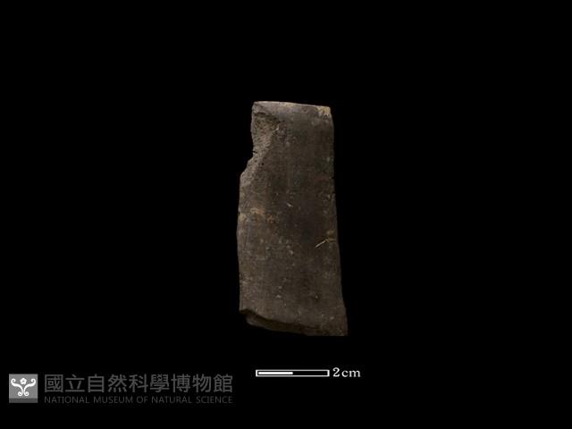 陶環藏品圖，第1張