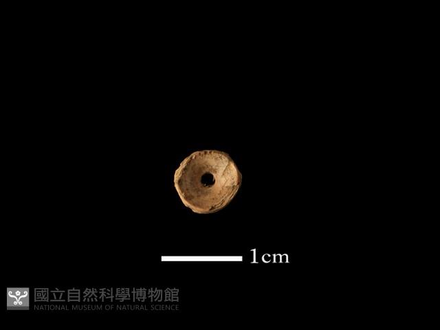 魚骨珠藏品圖，第1張