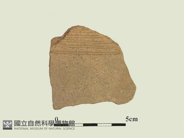 陶片藏品圖，第1張