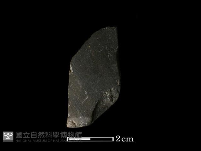 錛鑿形器藏品圖，第2張