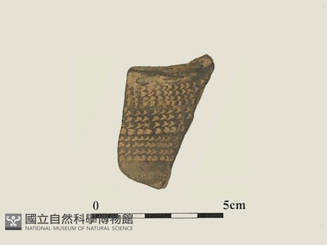 陶片藏品圖，第1張