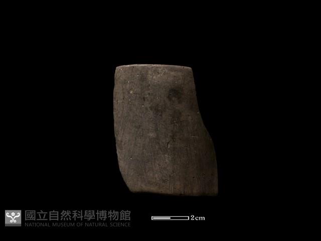 陶環藏品圖，第1張