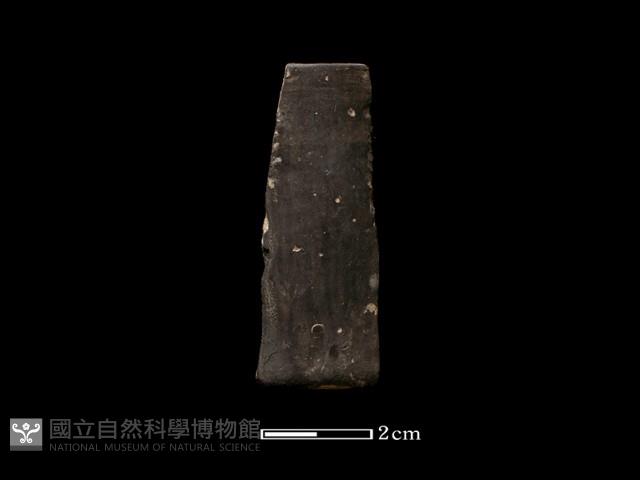 陶環藏品圖，第1張
