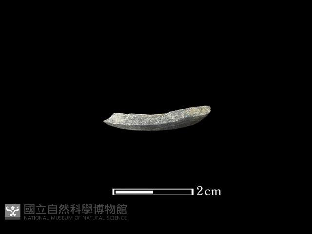 石環藏品圖，第2張