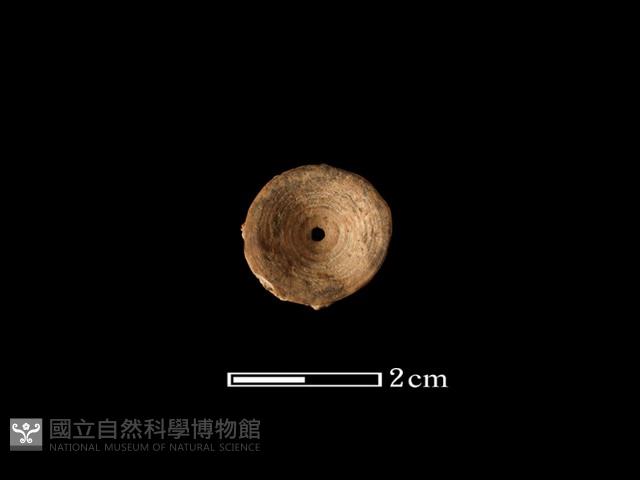 魚骨珠藏品圖，第1張