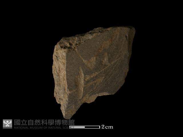 磨製石器藏品圖，第1張