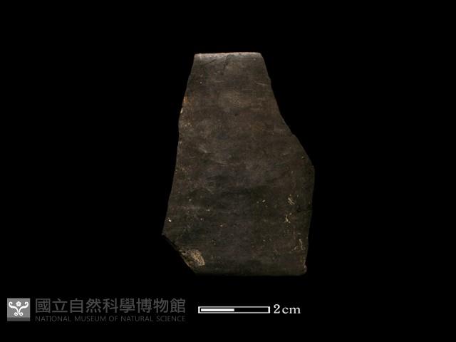陶環藏品圖，第2張