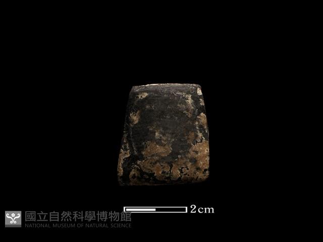陶環藏品圖，第1張