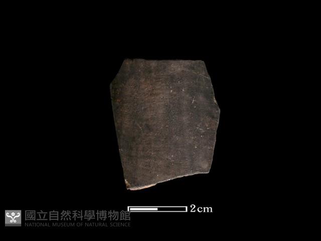 陶環藏品圖，第2張