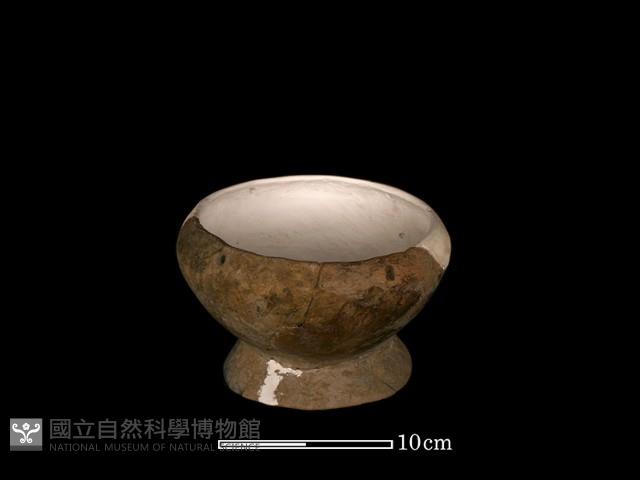 豆形器藏品圖，第2張