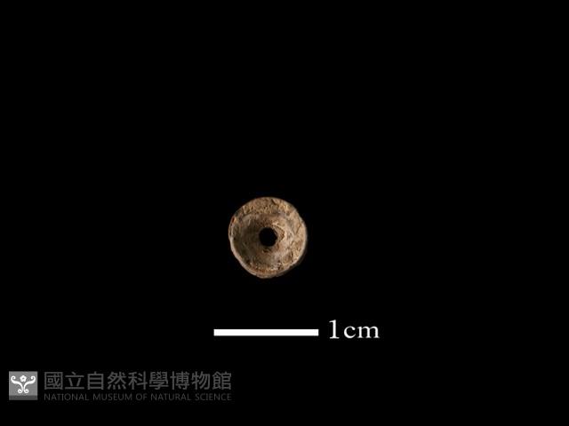 魚骨珠藏品圖，第1張