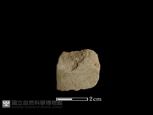 錛鑿形器藏品圖，第1張