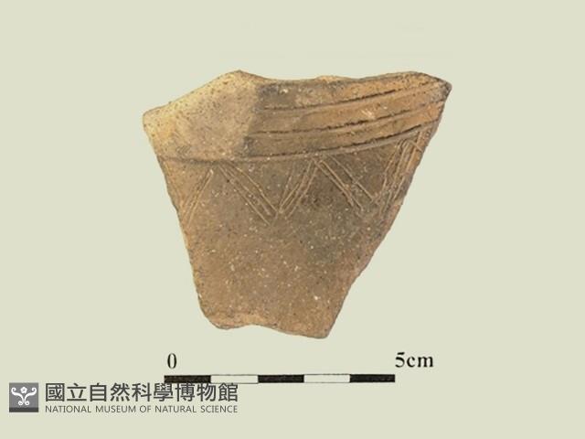 陶片藏品圖，第1張