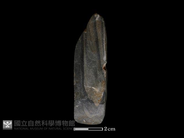 錛鑿形器藏品圖，第2張