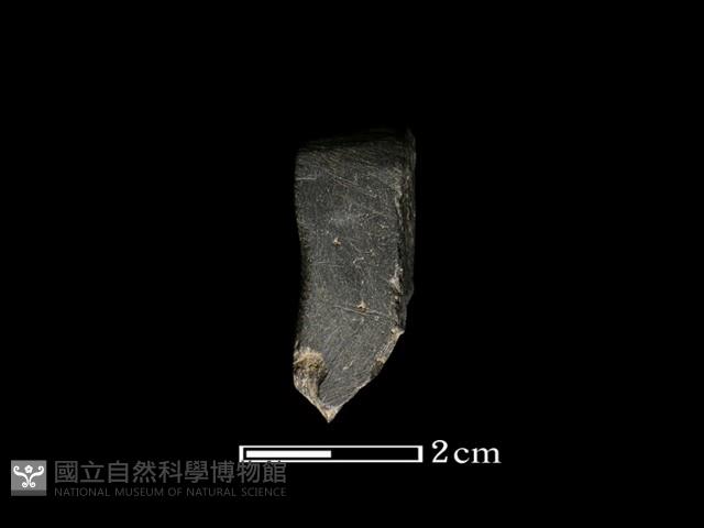 錛鑿形器藏品圖，第1張