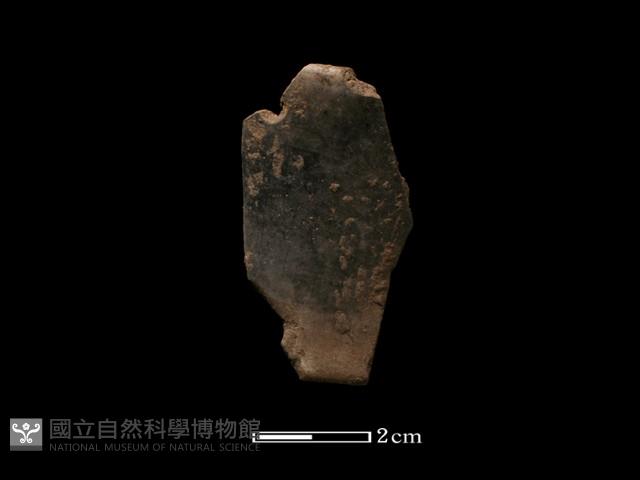 陶環藏品圖，第2張
