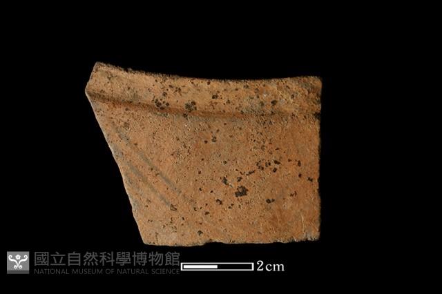 陶片藏品圖，第1張