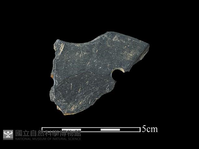 石鏟藏品圖，第1張