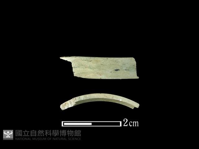 玉環藏品圖，第1張