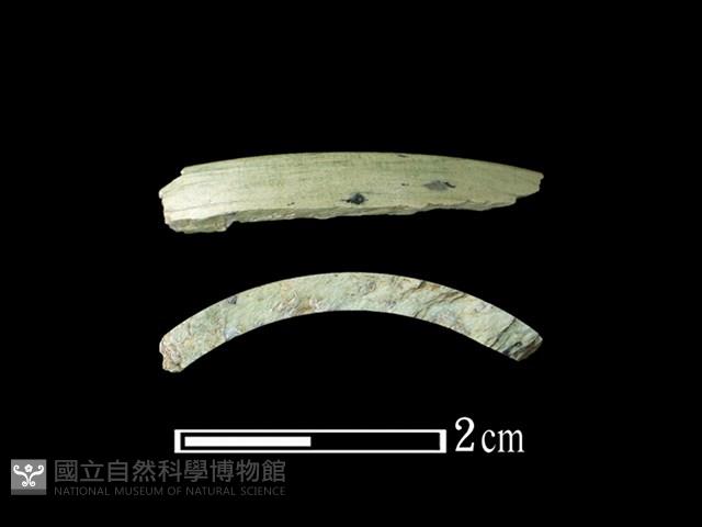 玉環藏品圖，第1張