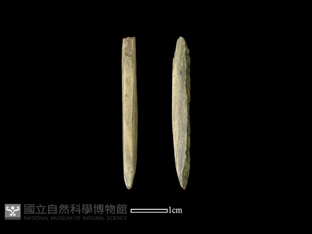 尖器藏品圖，第1張