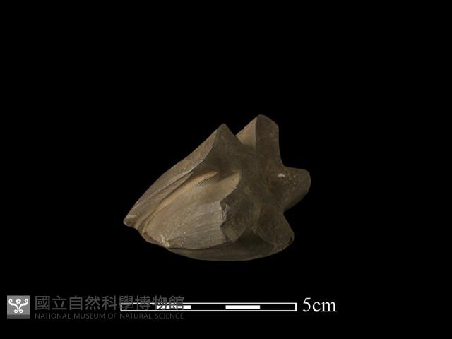 砥石藏品圖，第6張