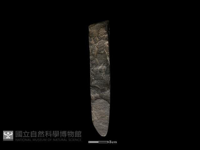 錛鑿形器藏品圖，第3張