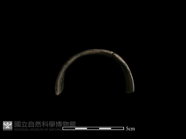 陶環藏品圖，第1張
