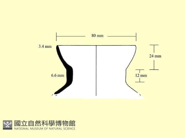 陶罐藏品圖，第3張