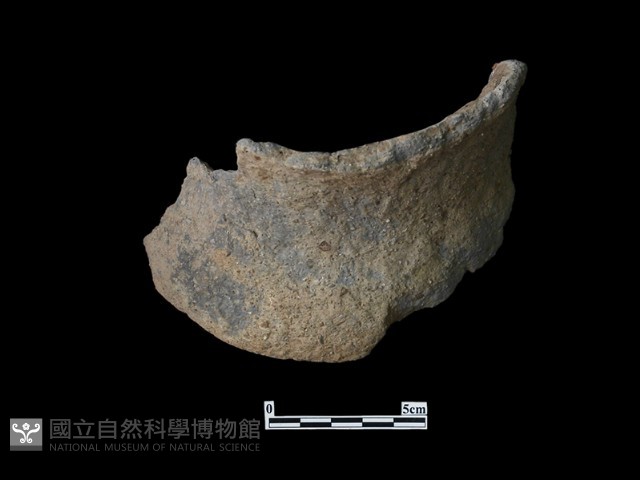 陶片藏品圖，第1張