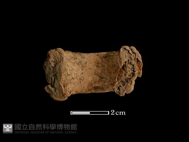 陶把藏品圖，第3張