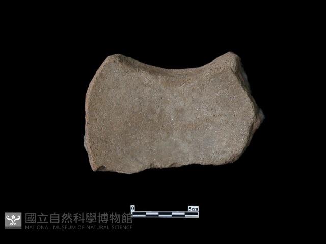 陶片藏品圖，第3張
