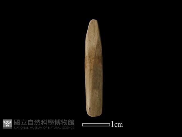 錛鑿形器藏品圖，第1張