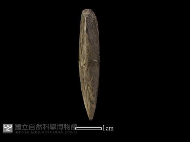 鑽頭藏品圖，第1張