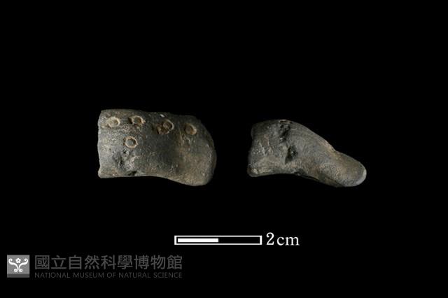 陶把藏品圖，第3張