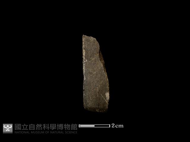 錛鑿形器藏品圖，第1張