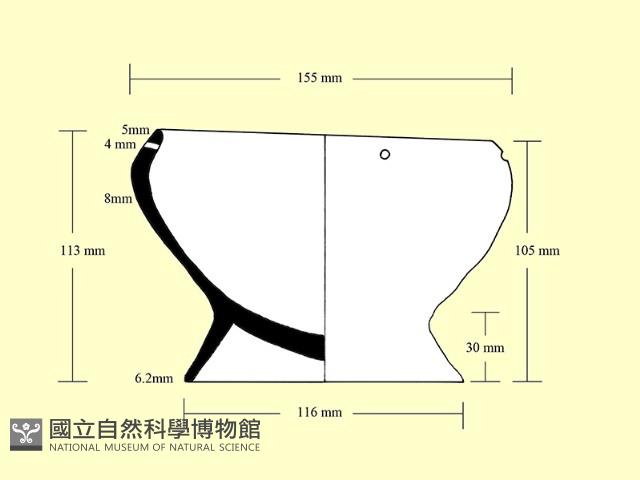 豆形器藏品圖，第1張