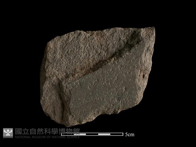 磨製石器藏品圖，第3張