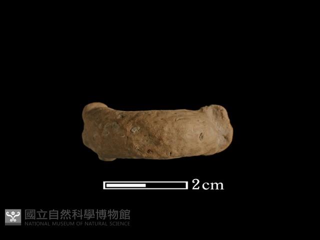 陶把藏品圖，第1張