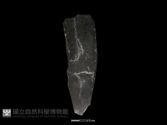 錛鑿形器藏品圖，第1張