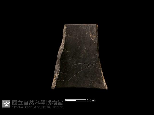 陶環藏品圖，第2張