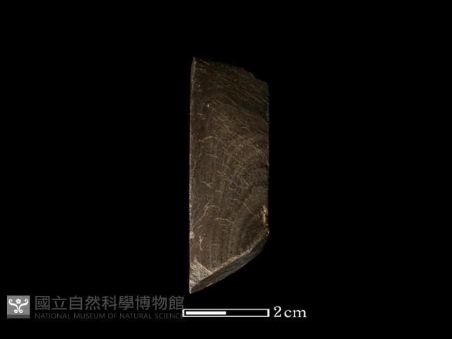 錛鑿形器藏品圖，第1張
