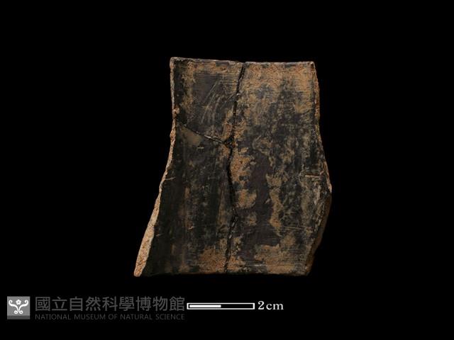 陶環藏品圖，第1張