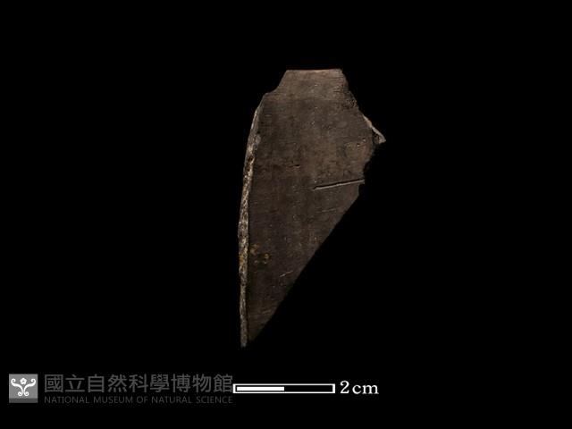 陶環藏品圖，第1張