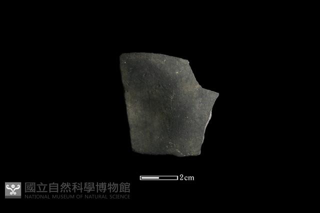 陶片藏品圖，第2張