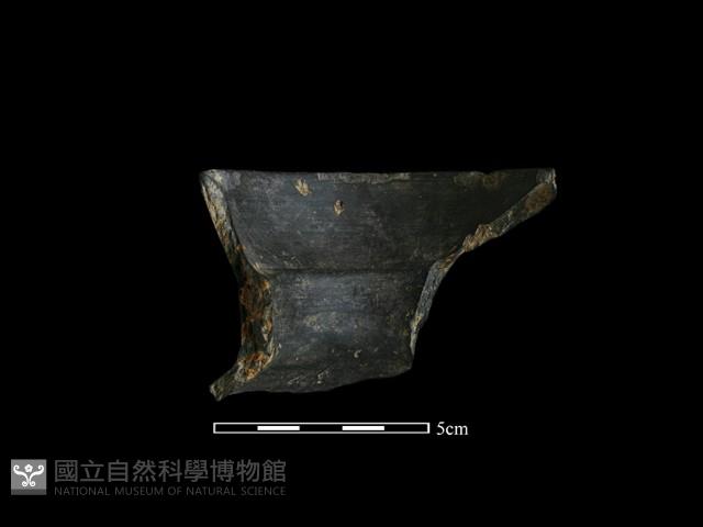 陶罐藏品圖，第1張