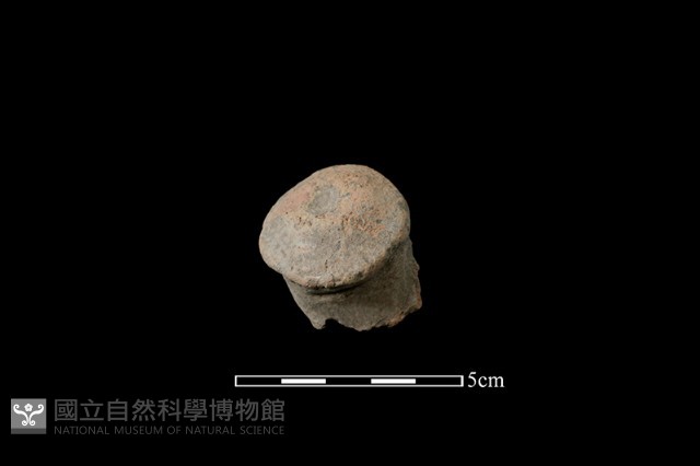 陶鈕藏品圖，第2張