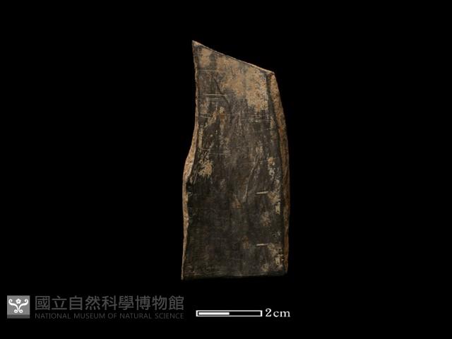 陶環藏品圖，第1張