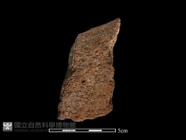 陶片藏品圖，第2張