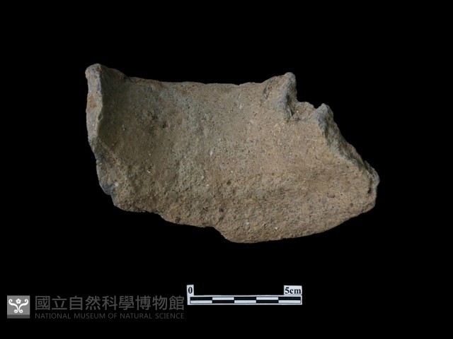 陶片藏品圖，第3張